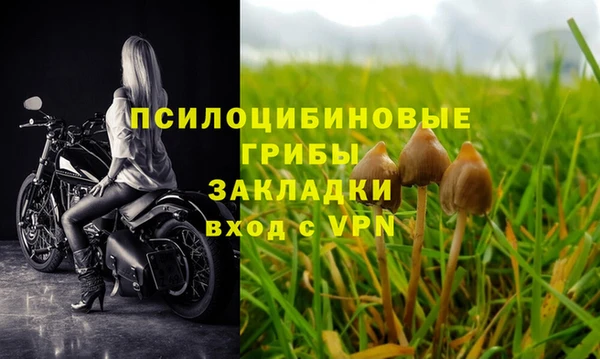 apvp Вязники