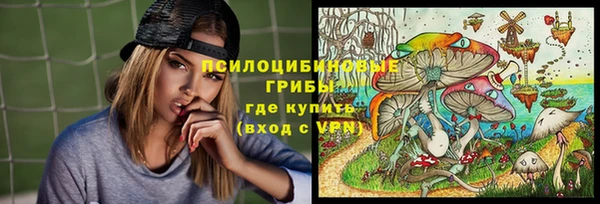apvp Вязники